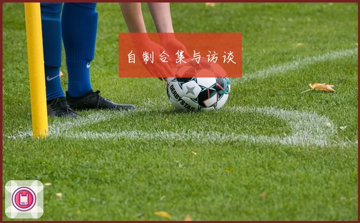 自制合集与访谈