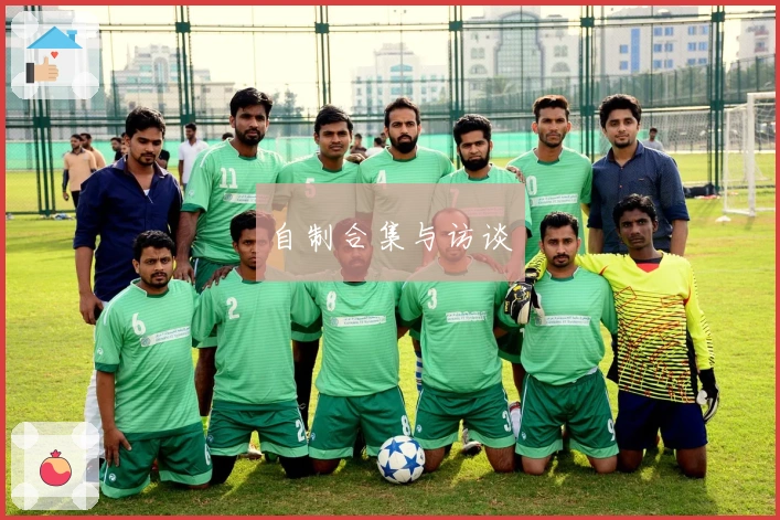 自制合集与访谈