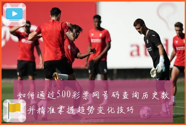 如何通过500彩票网号码查询历史数据并精准掌握趋势变化技巧